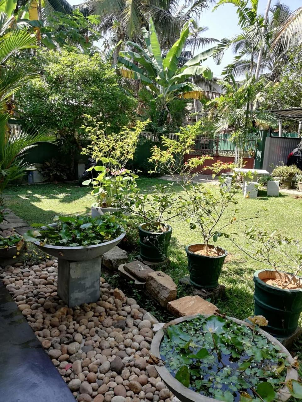 Serenity Villa Хиккадува Экстерьер фото