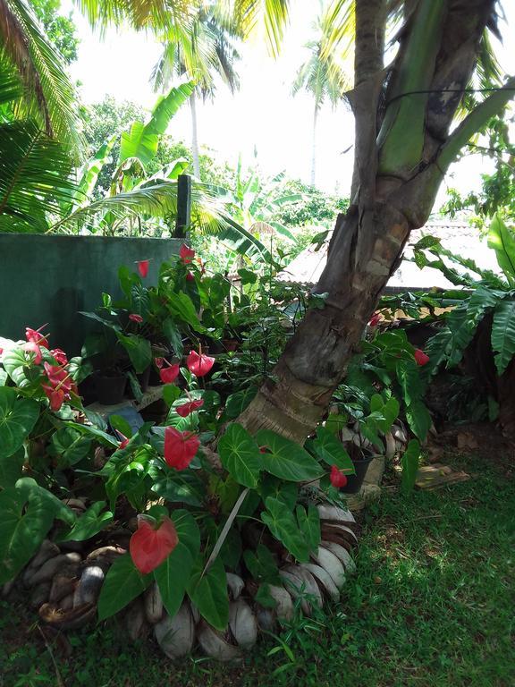 Serenity Villa Хиккадува Экстерьер фото